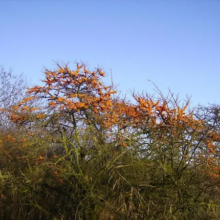 1 In The Happiness House Apartament Glowe